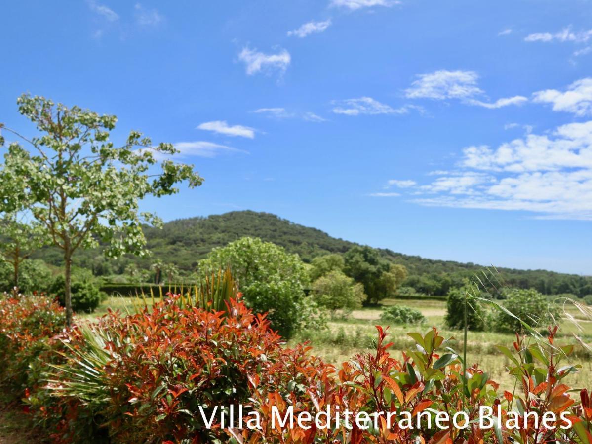 Country house Naturetreehouse Casa Sobre Los Arboles Blanes