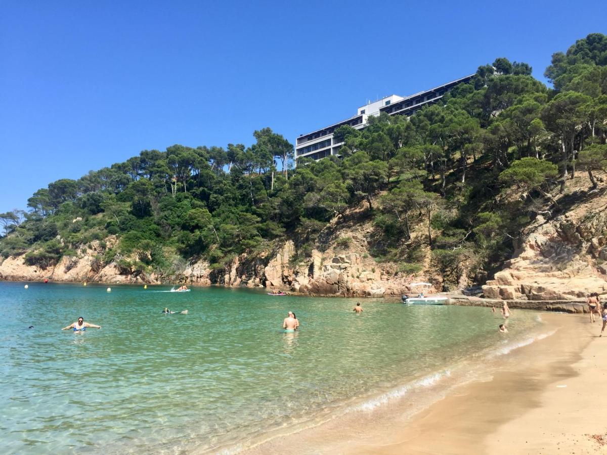 Preciós A Primera Línia De Mar *
