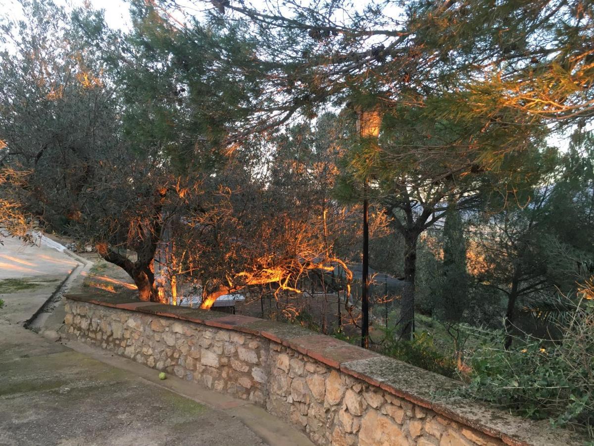 Campo La Carena Garriguella