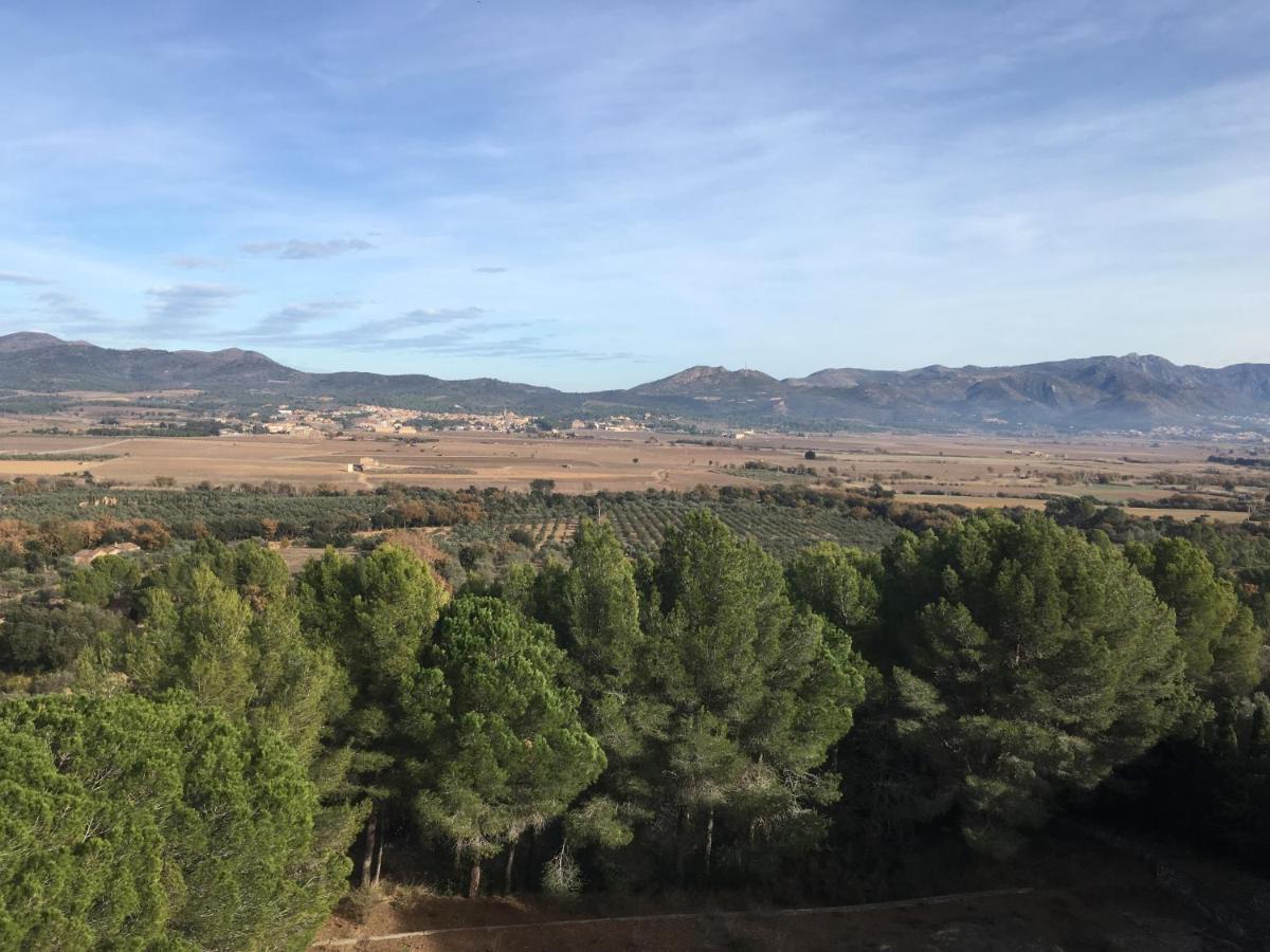 Campo La Carena Holiday home *
