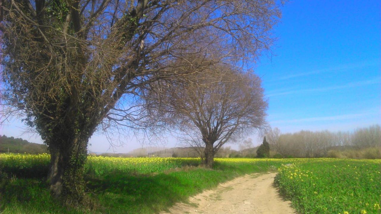 L'espigol Bed and breakfast Vulpellac