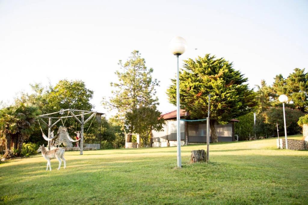 Bernardi Holiday home Vidreres