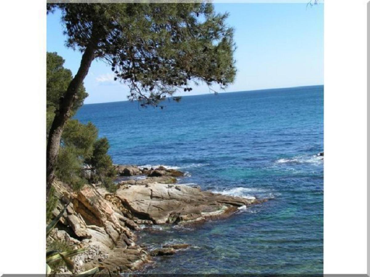 For Eight Guests San Ciprian dels Alls