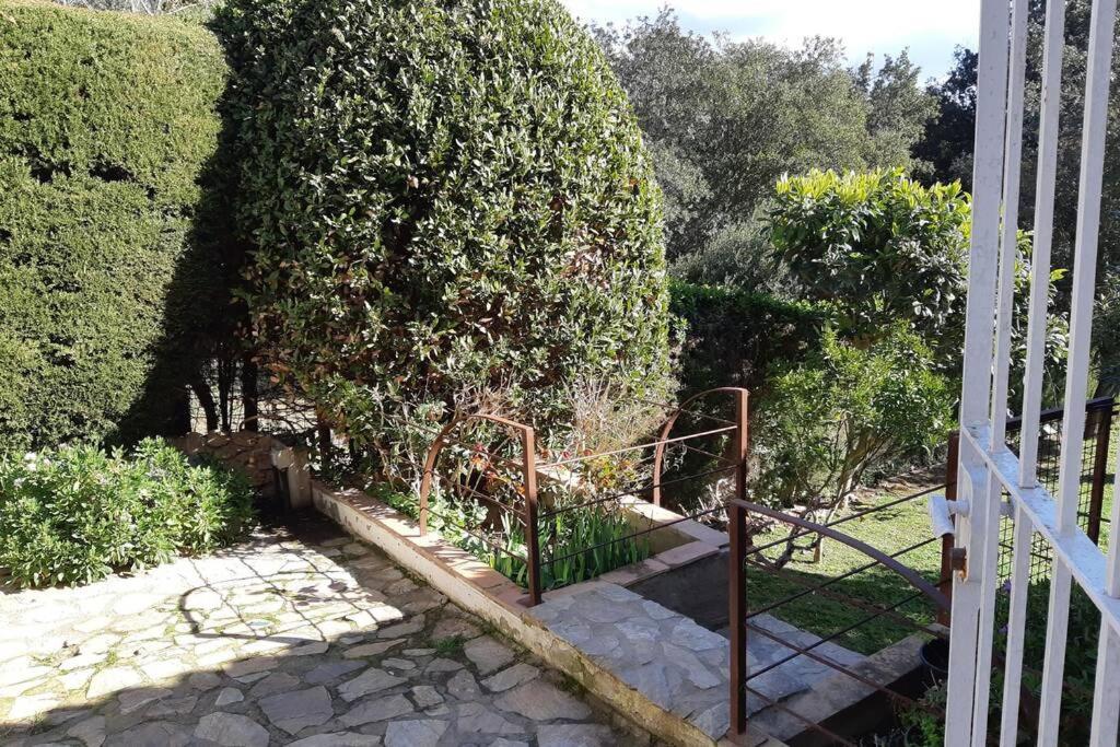 Estudio Vistas Al Mar Y Bosques De Begur *