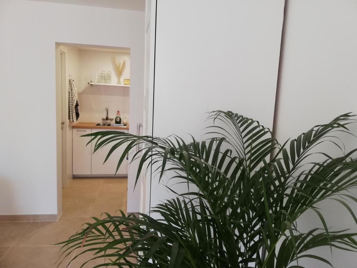 Bed & Breakfast Casa La Vida *