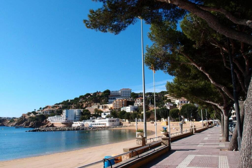 Apartment Nuevo Moderno Elisa - A 80 Metros De La Playa 5 Personas