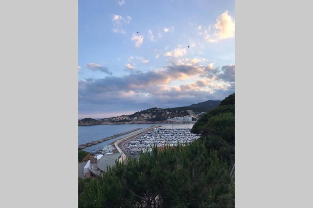 Nuevo Luminoso Catalina A 80 Metros De La Playa 4 Personas Apartment *