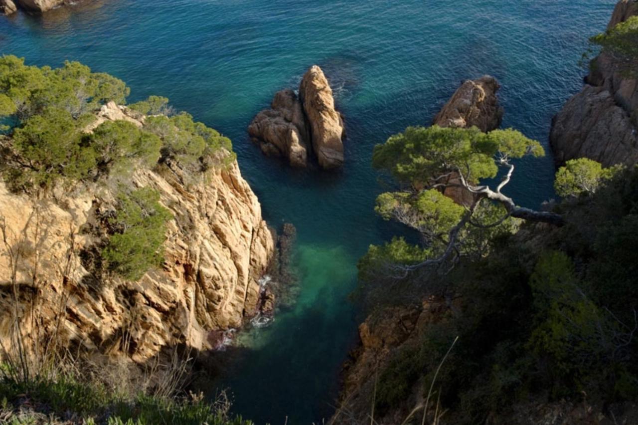 Apartment Nuevo Luminoso Catalina A 80 Metros De La Playa 4 Personas Sant Feliu de Guixols