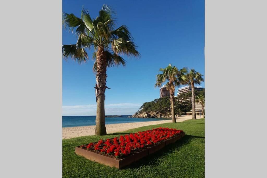 Costa Brava-st Antoni De Calonge Per Parelles I Families Petites Calonge (Catalonia)