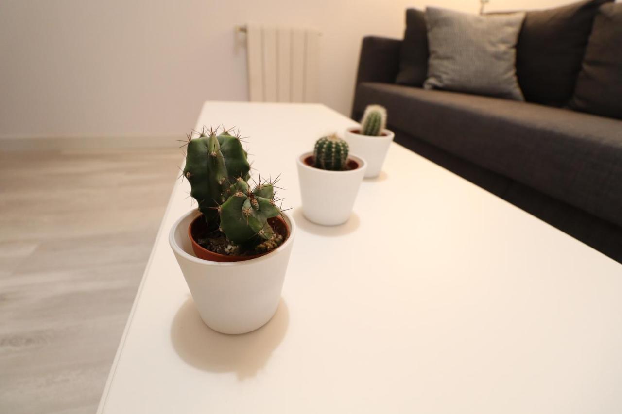 Cool - Parc Migdia - Center Apartment Girona