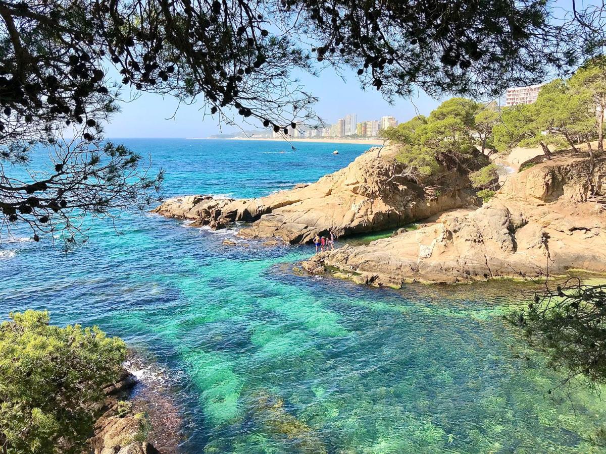 En 2eme Ligne De Mer Apartment *