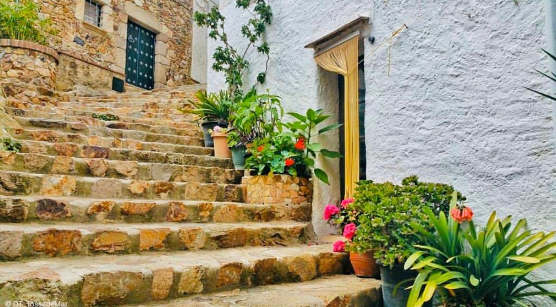 Apartment Apartamento Tossa De Mar
