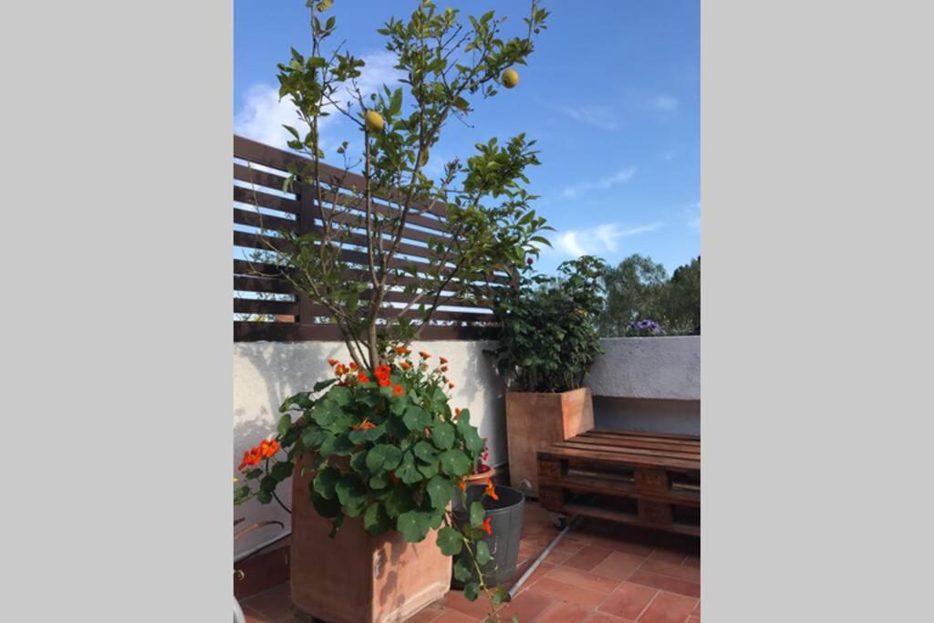 Casita Blanca Con Fibra Optica Y Piscina Cominutaria Holiday home