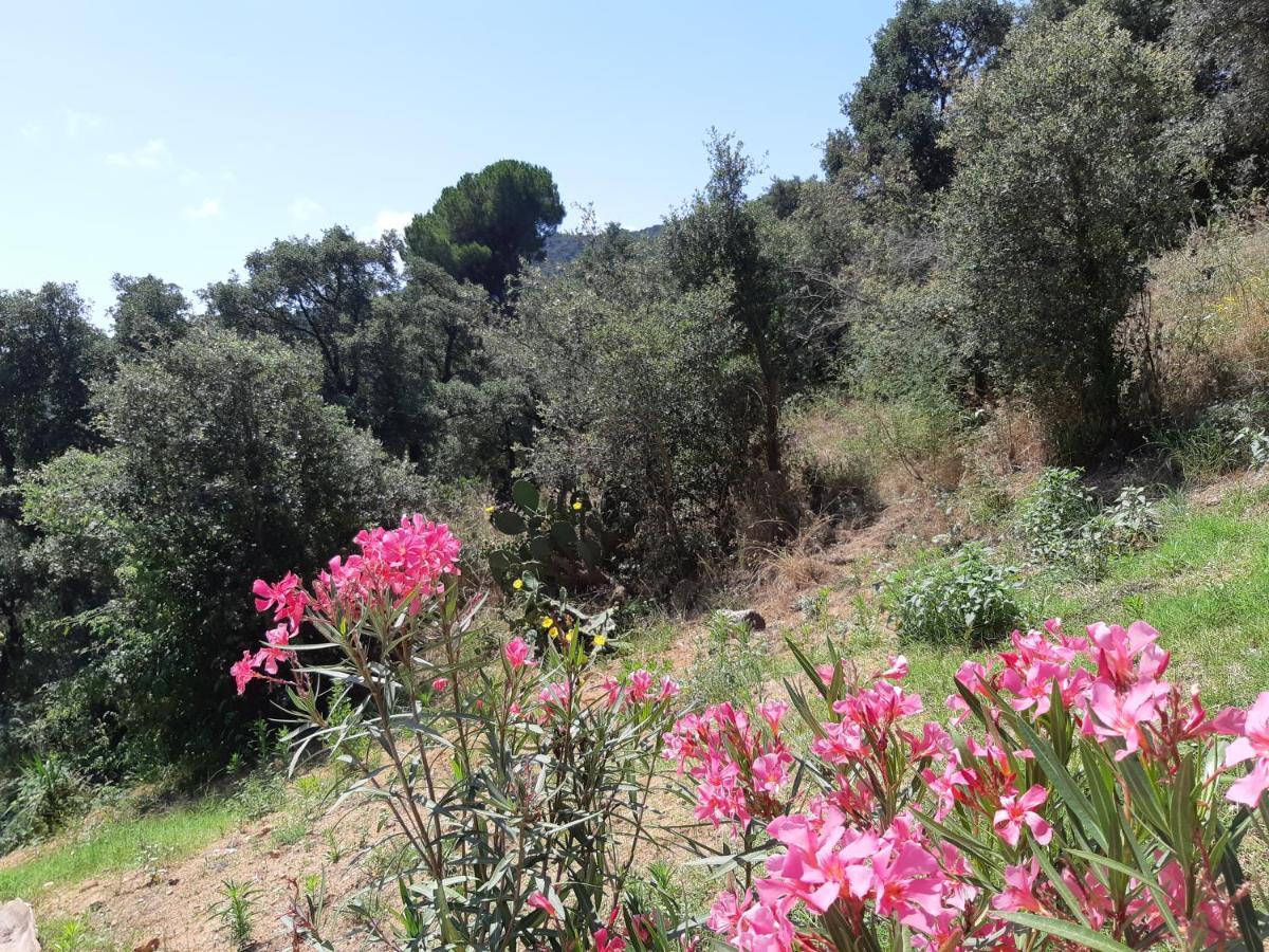 Holiday home Sea View Holiday House Calonge Calonge (Catalonia)