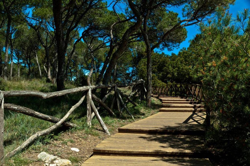 Apartamento Pie De Playa-wifi Free *