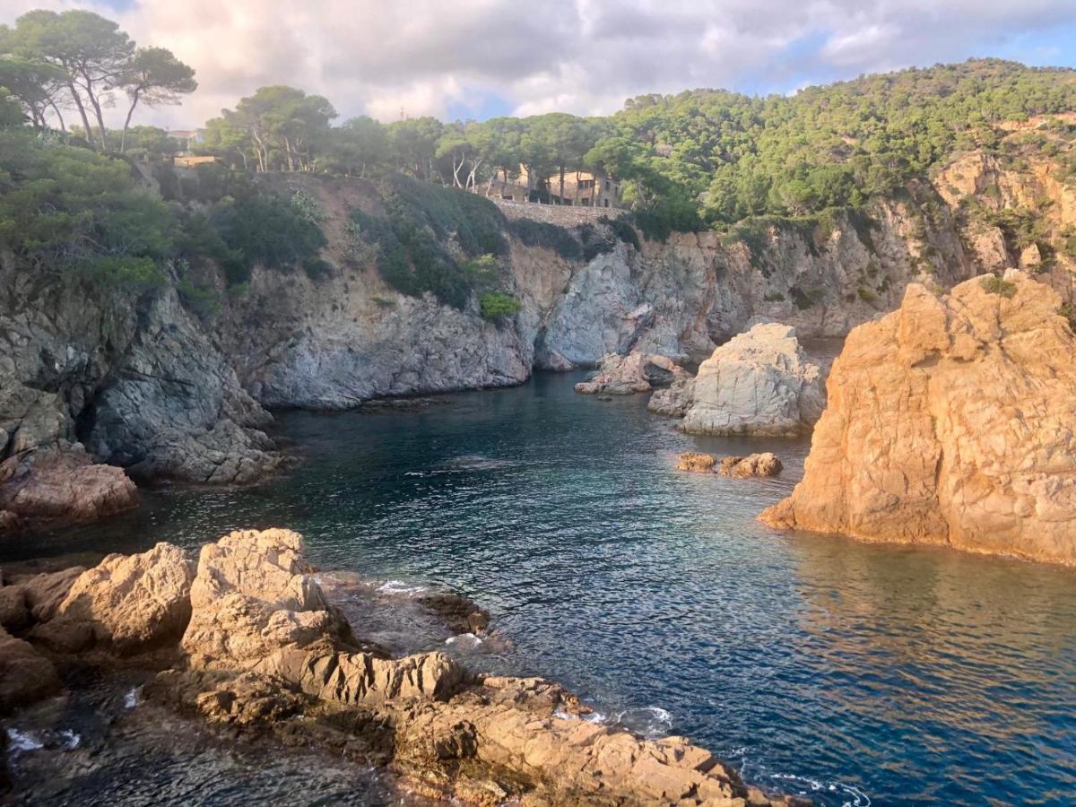 In The Forest With Sea View Apartamento