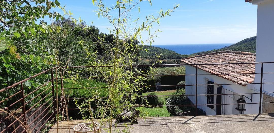 Estudio Vistas Al Mar Y Bosques De Begur * Tamariu
