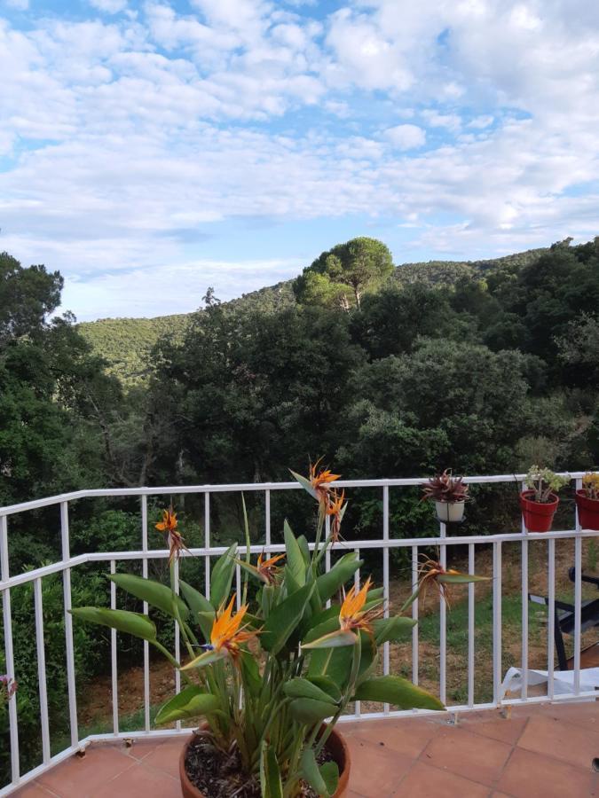 Sea View Holiday House Calonge Holiday home