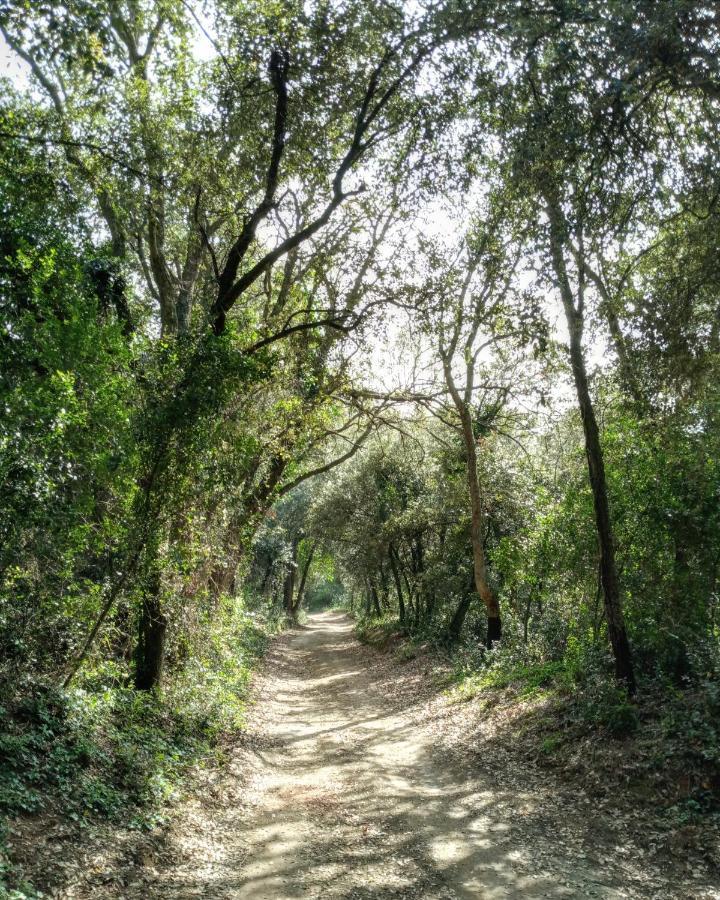 Mas Valoria Casa rural
