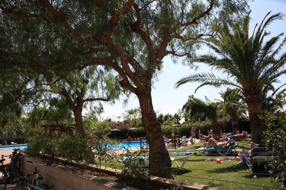 Apartamento Appartement spacieux avec vue sur la chaîne des Pyrénées et Empuriabrava, LAN