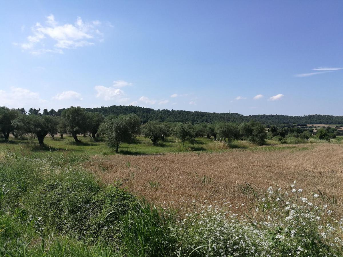 Holiday home El Paller De Puig A 4/6 Pax La Pera