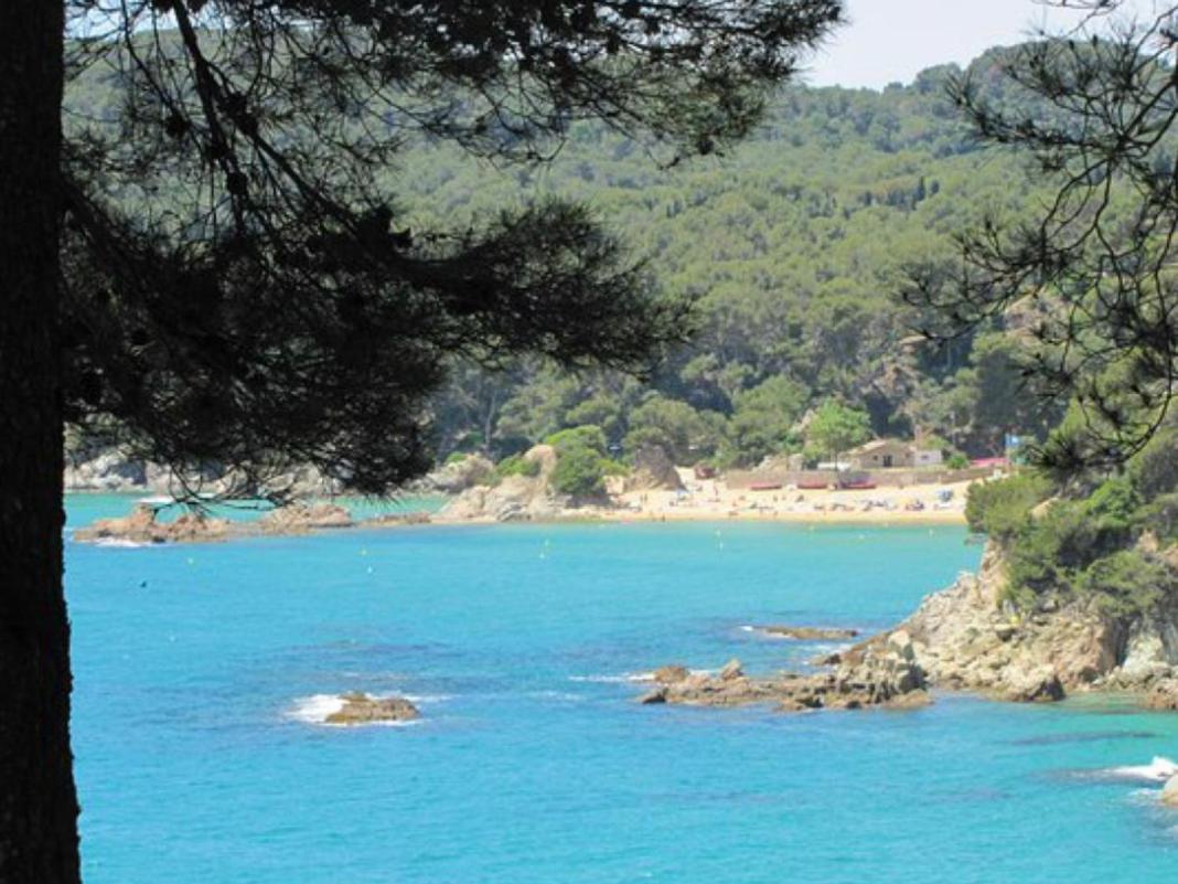 Sunny Sa Boadella Big Solarium Sea View Apartamento