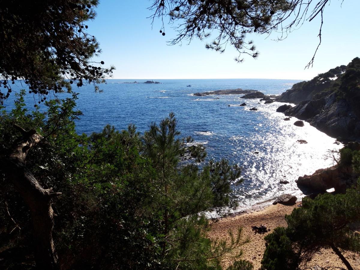 Masoveria Del Mas Plaja De Fitor Casa rural