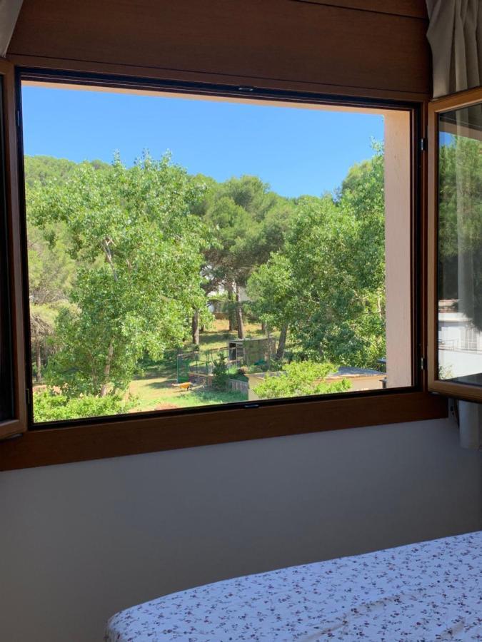 Apartment Apartamento En La Fosca,