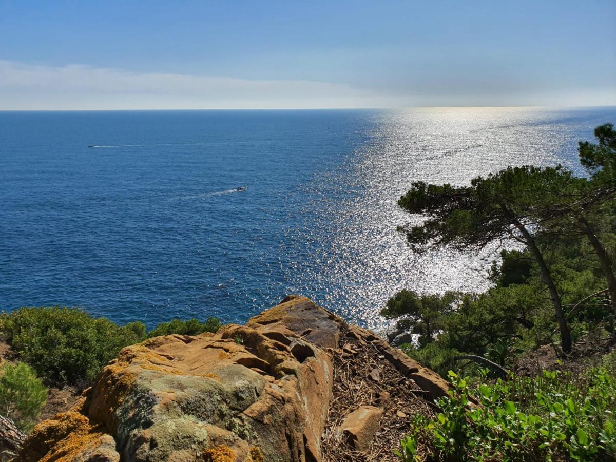 Apartamento En La Fosca, * Palamos