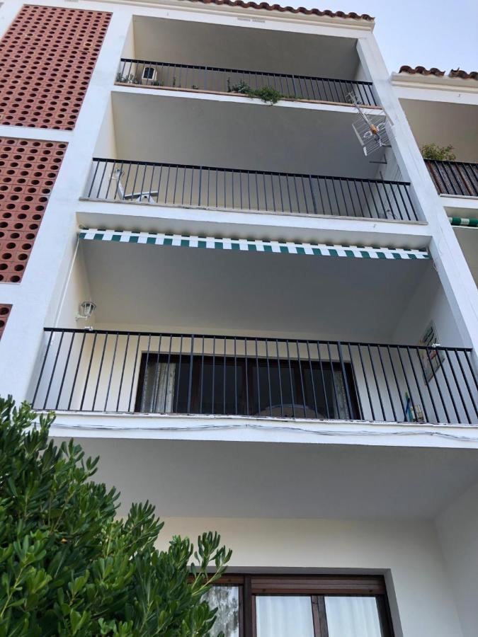 In The Forest With Sea View Apartment