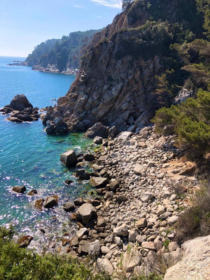 In The Forest With Sea View Tossa de Mar