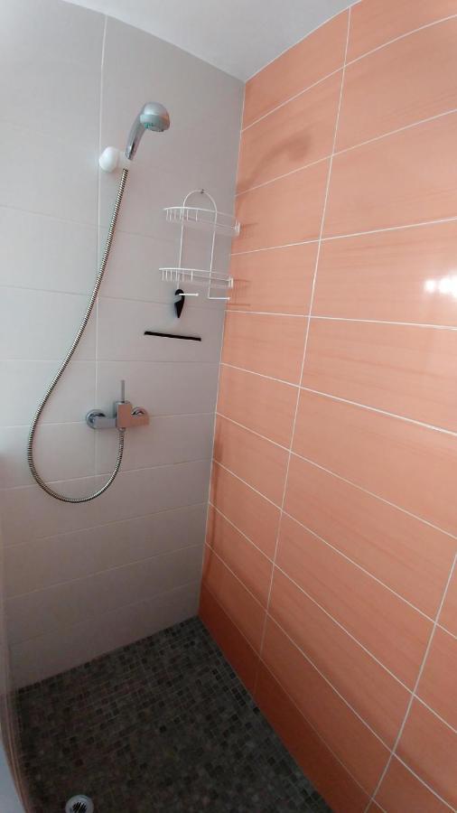 Oasis A6 * Rosas