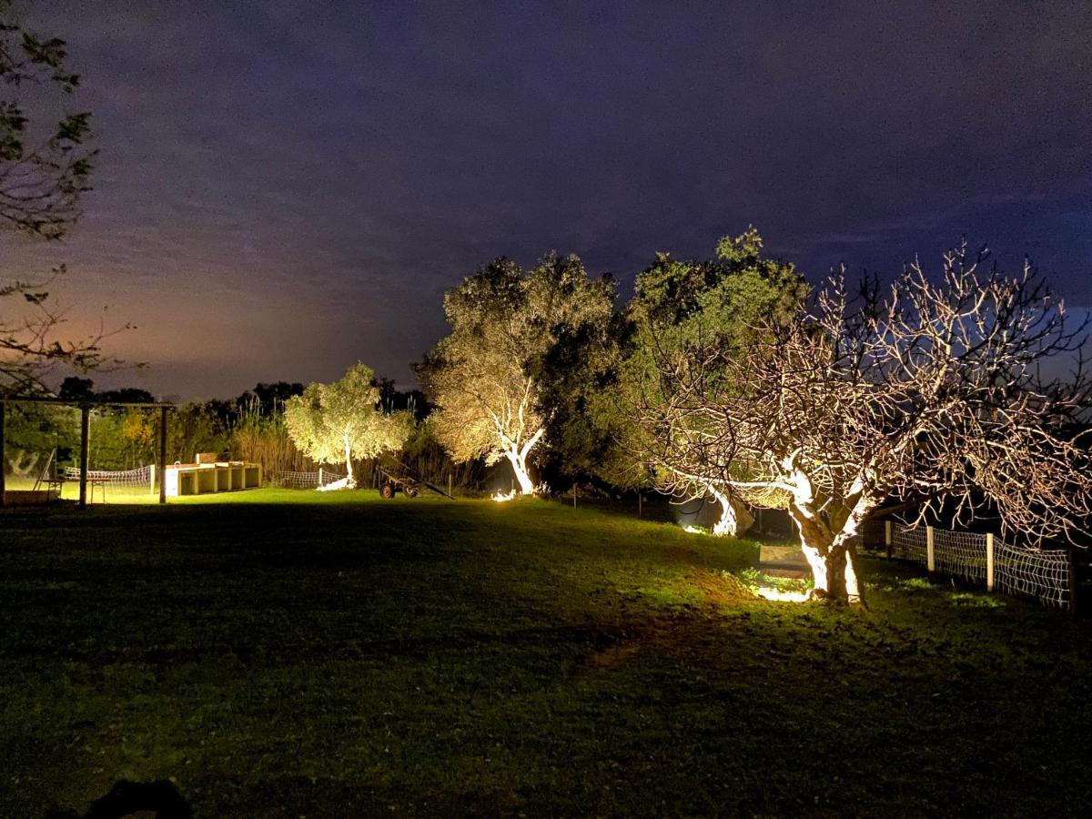 Llorens Llagostera