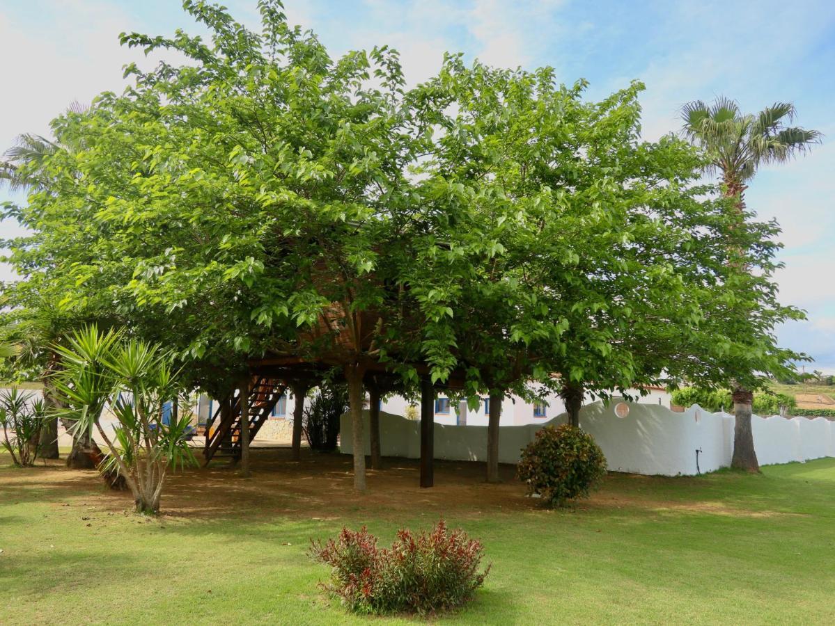 Naturetreehouse Casa Sobre Los Arboles *