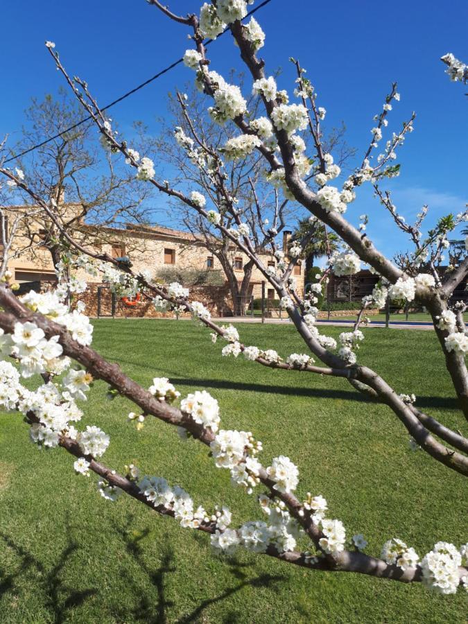 Masia Rural Poch Country house