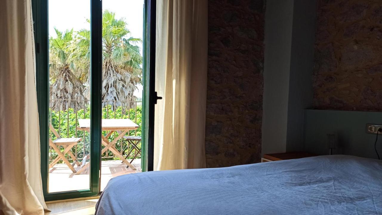 Palmeras * Sant Pere Pescador