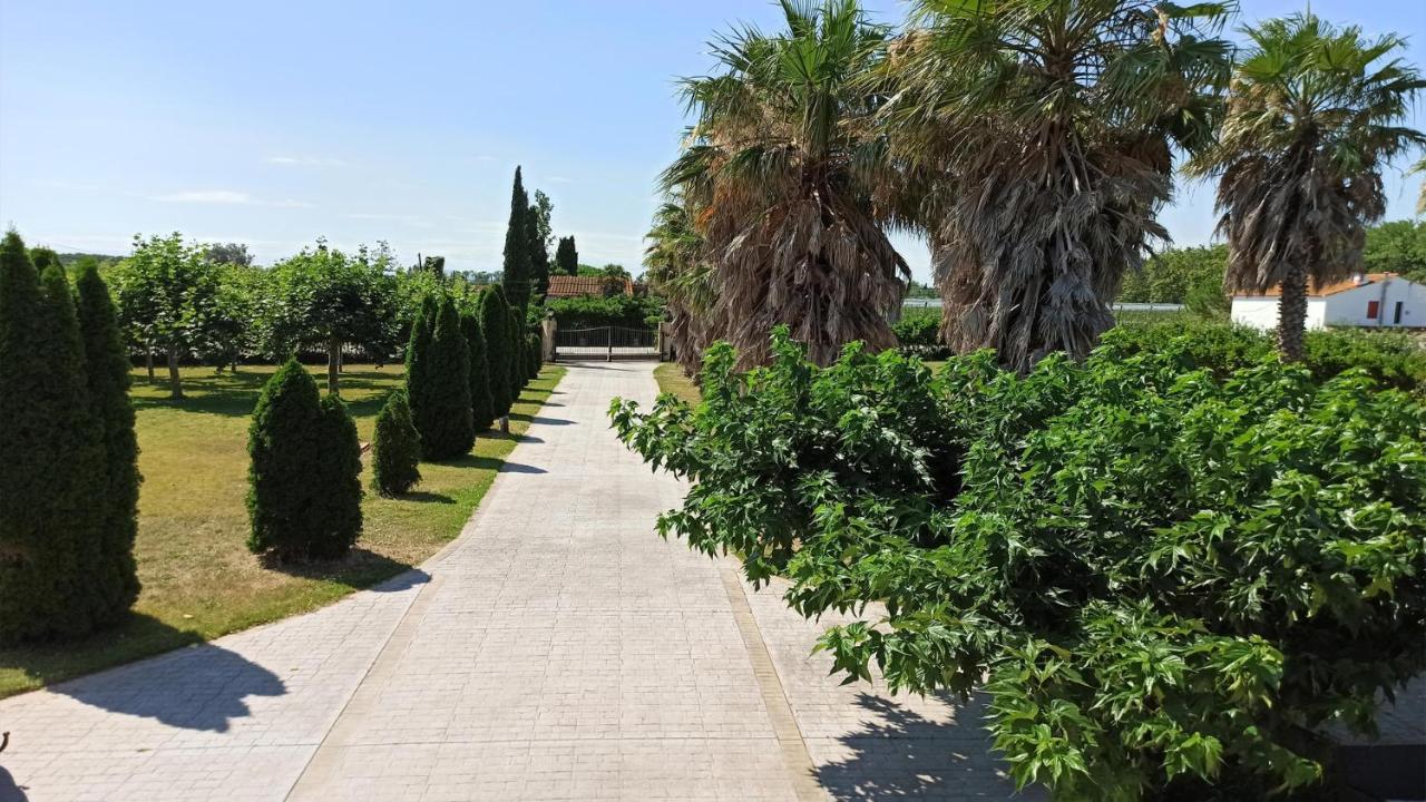 Сasa de vacaciones Palmeras