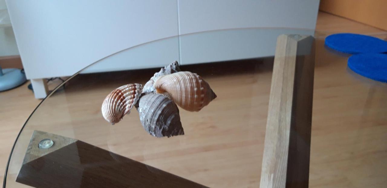 Apartamento El Campanar