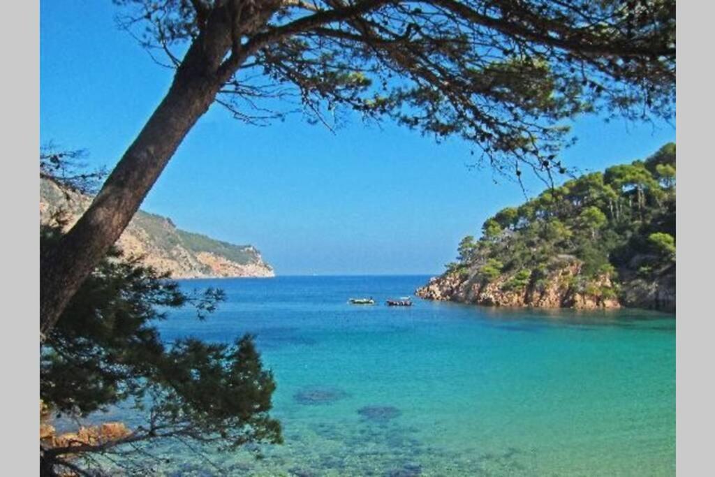 Apartment With Swimming Pool, Near To The Beach