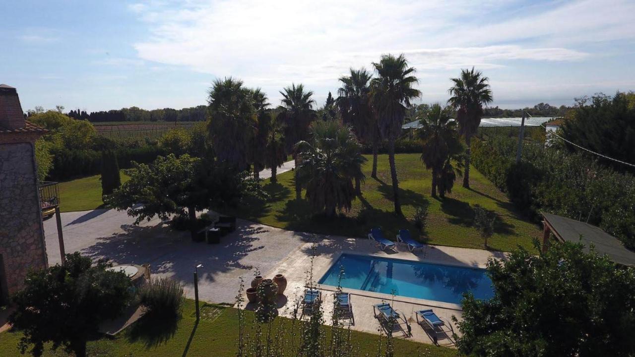 Palmeras * Sant Pere Pescador