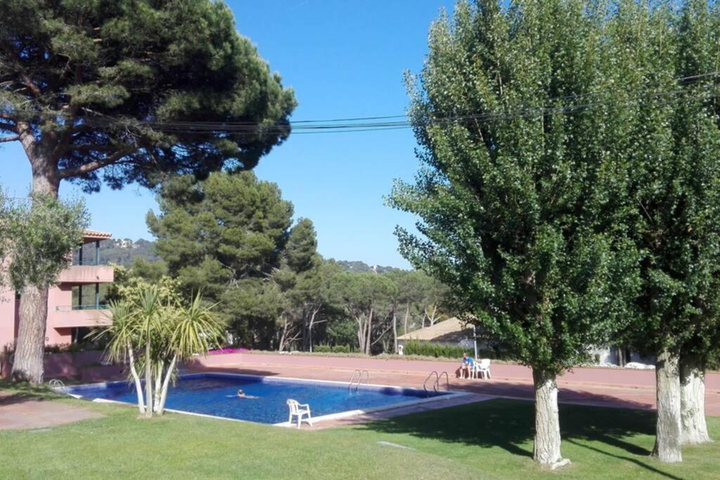 With Swimming Pool, Near To The Beach