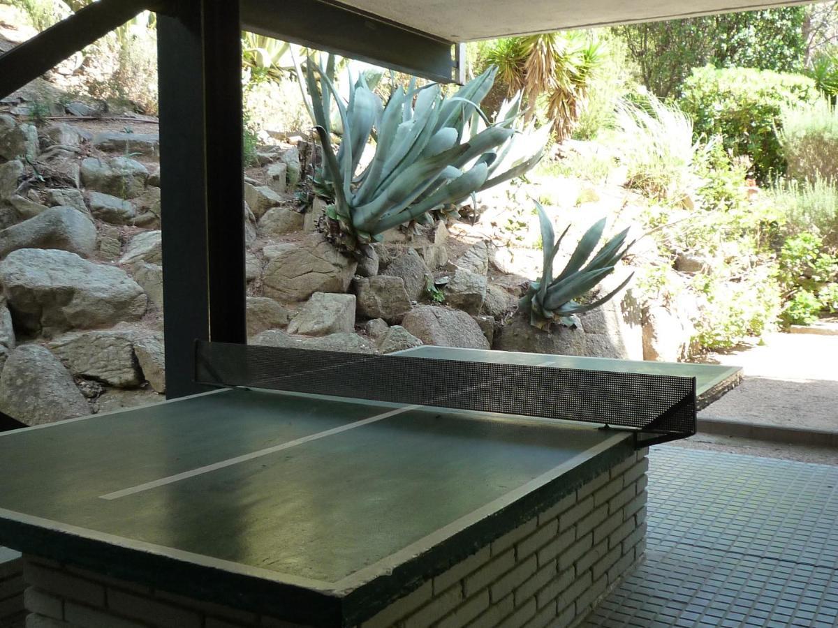 Apartamento Tramuntana *