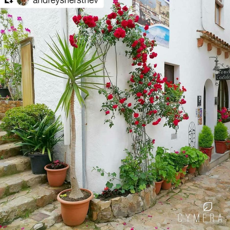 Apartment Vidabrava, Tossa Medievo, A 150 M De La Playa