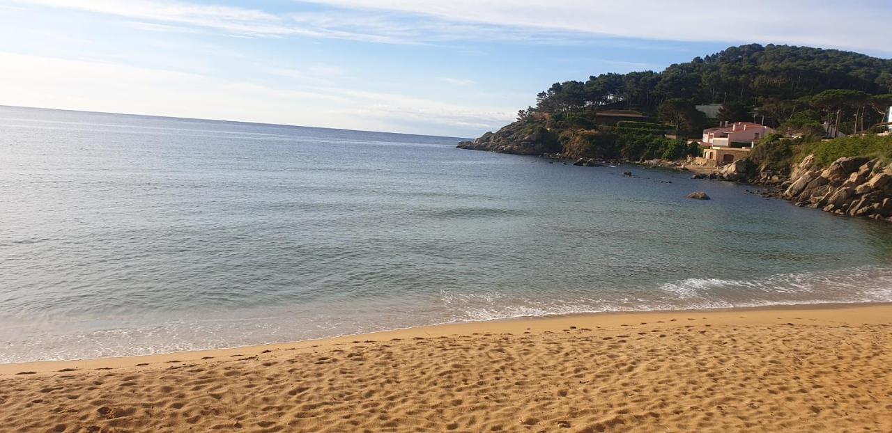 Apartamento Con Jardín A 11 Metros De La Playa. B3. Palamós