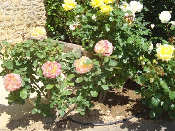 Country house Masia Rural Poch *