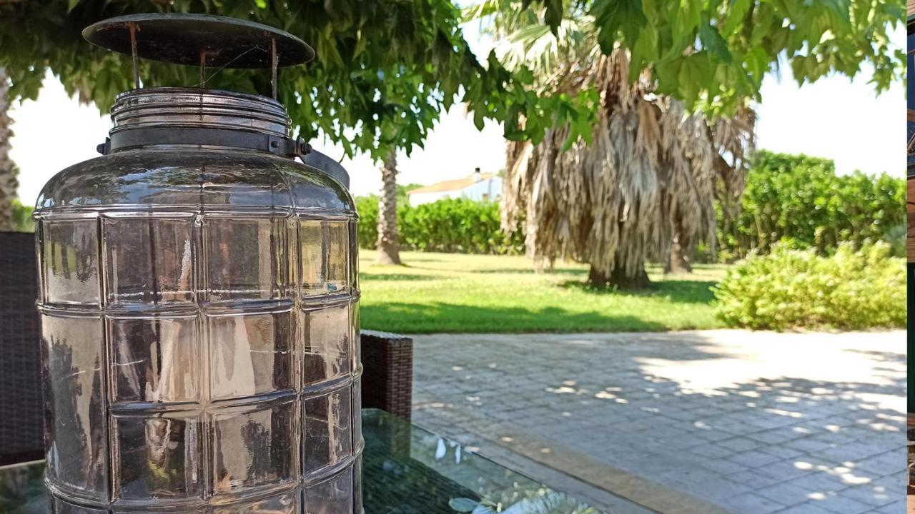 Palmeras Sant Pere Pescador