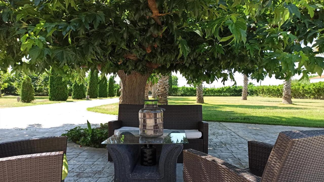 Palmeras Sant Pere Pescador