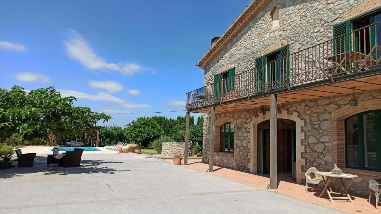 Palmeras * Sant Pere Pescador