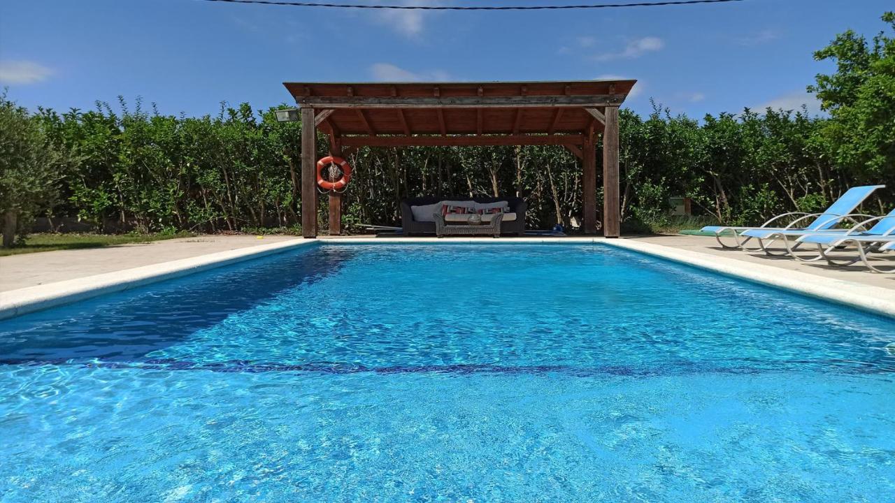 Palmeras Sant Pere Pescador