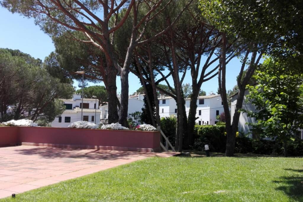 With Swimming Pool, Near To The Beach Apartment
